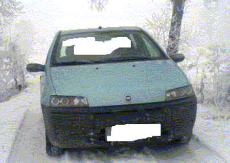 Fiat Punto de vinzare