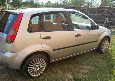 Vand Ford Fiesta 