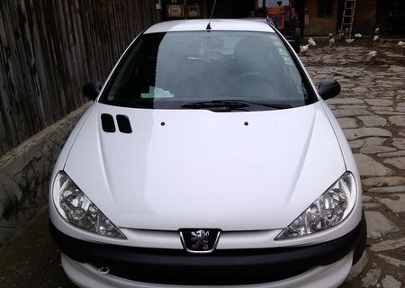 Vand peugeot 206