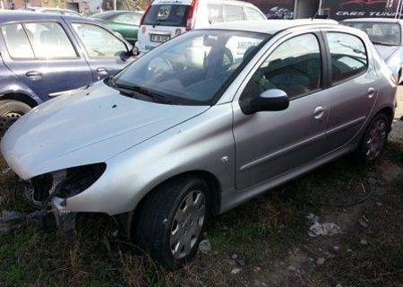 Vand Peugeot 206 