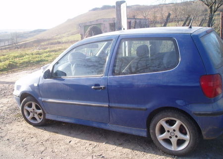 vand polo din 2000