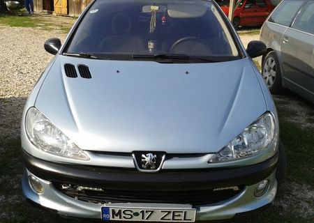 Vand sau schimb peugeot 206