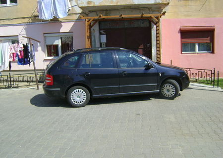 VAND SAU SCHIMB SKODA FABIA