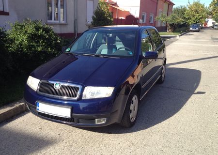 Vand Skoda Fabia