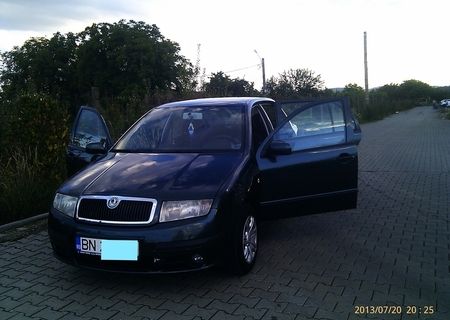 Vand Skoda Fabia, 2005