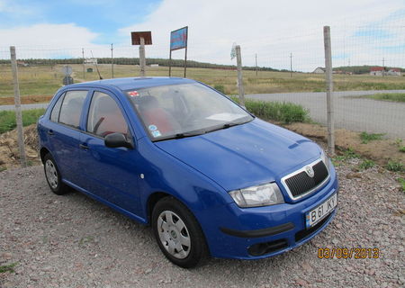 Vand skoda Fabia 2007