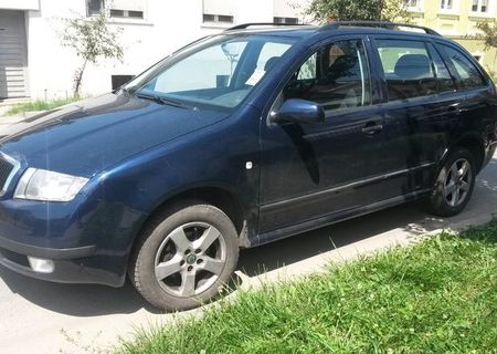 Vand Skoda Fabia