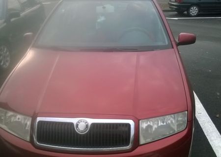 Vand Skoda Fabia