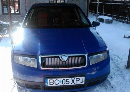 Vand Skoda fabia 