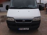 FIAT DUCATO FRIGORIFICA, fotografie 2