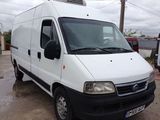 FIAT DUCATO FRIGORIFICA, fotografie 3