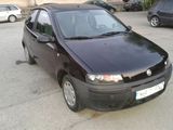 fiat punto, photo 5