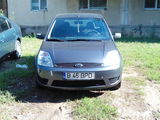 ford fiesta, fotografie 1