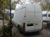 FORD Transit, fotografie 2