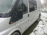 ford transit, fotografie 3