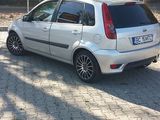 Vand Ford Fiesta