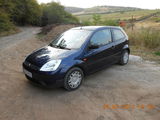 Vand Ford Fiesta