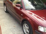 vand passat, photo 2