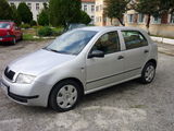 Vand Skoda Fabia