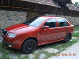 Vand Skoda Fabia, photo 1